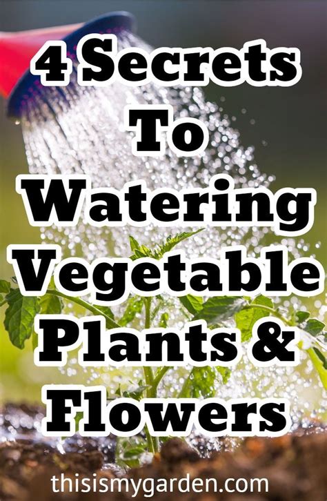 Learn The 4 Secrets To Watering Your Vegetable Or Flower Garden