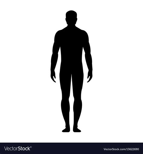 Human Front Side Silhouette Royalty Free Vector Image Hot Sex Picture