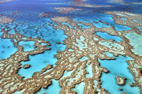 Australias A60 Million Plan For Great Barrier Reef Wont