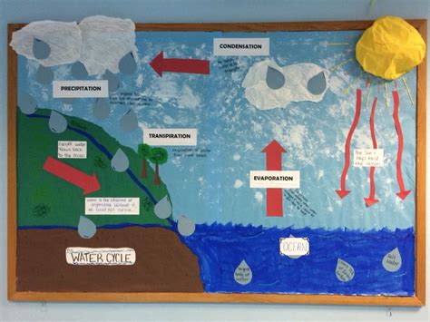 Water Cycle Bulletin Board I Used The Design From A Tpt Free