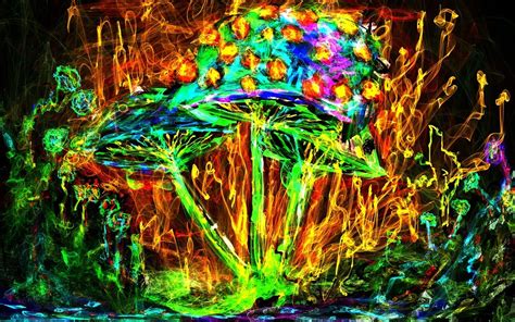 Hintergrundbilder Bunt Malerei Pilz Psychedelisch Dschungel