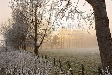 Hoar Frost Covering Trees Pasture And Fence On Frosty Wintery Morning