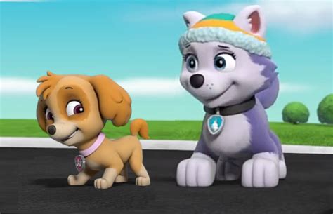 Related:paw patrol tracker paw patrol everest snowmobile paw patrol ryder everest paw patrol plush paw patrol lot paw patrol everest paw patrol pup pals everest plush soft toy 8 20cm 043. Everest & Skye | PAW Patrol Fan Universe Wiki | Fandom
