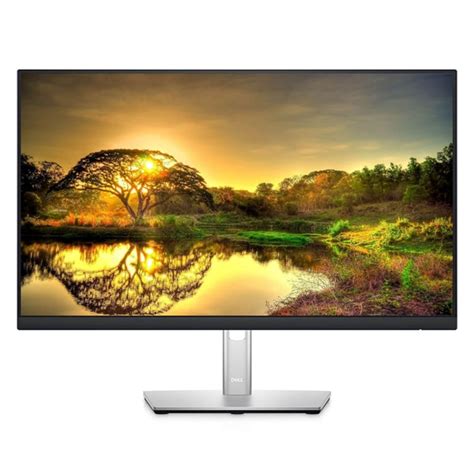 Dell Professional P2422he 24 Fhd Usb C Ips Home Office Monitor