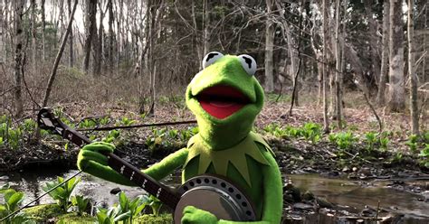 Kermit The Frog Sings Heartfelt Self Isolated Rendition Of Rainbow Connection