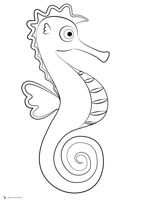 Seahorse Animals Free Printable Coloring Pages