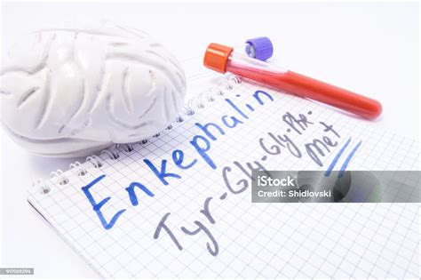 신경 전달 물질 Enkephalin입니다 인간의 두뇌 모델 혈액으로 실험실 테스트 튜브 Enkephalins의 비문 근처 하다 인체에서 자연 수면제 기능 및 생 화 확 적인