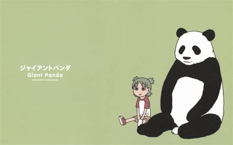 47 Anime Panda Wallpaper Wallpapersafari