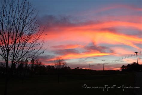 A New Day Dawns Mamas Empty Nest