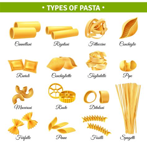 Pasta Types Infographics Download Free Vectors Clipart Graphics