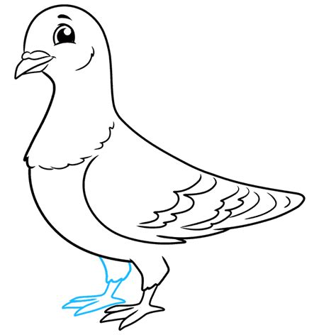 How To Draw A Pigeon Really Easy Drawing Tutorial
