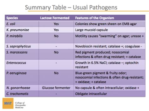 Microbiology Uti Qpavia Flashcards Quizlet