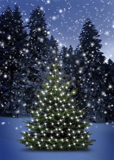 Leuchtender Weihnachtsbaum Im Schnee Bei Nacht An Heiligabend Stock