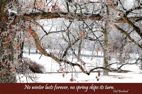 Carol Mattingly Photography Winter Kentuckys Scenic Byway