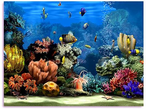 578x435px Aquarium Live Wallpaper Windows 10 - WallpaperSafari