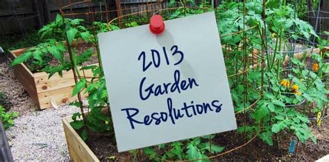 A List Of Some Good Gardening Resolutions For The New Year