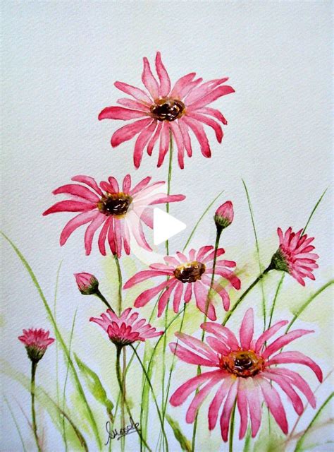 Pretty Pink Daisies Fabulous Flowers Exquisite Visually Appealing And Sophisticated