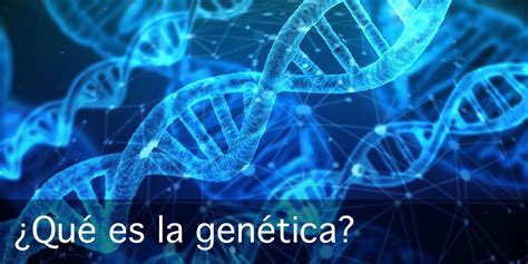 ¿qué Es La Genética Ciencia Y Biología