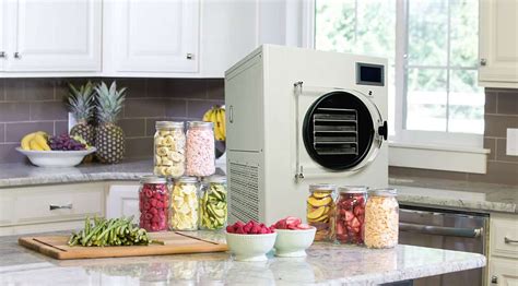 Small Home Freeze Dryer With Cheap Price