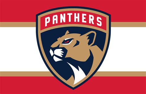 As the cartoonish video scrolls, different team colors pop up with the number on the back of the jersey apparently representing the year the jersey. Reverse Retro Expectations vs Reality: Florida Panthers ...
