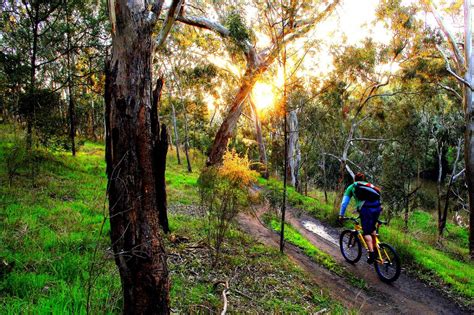 Yarra Trails Mountain Bike Trail in Melbourne, Victoria || SINGLETRACKS.COM