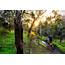 Yarra Trails Mountain Bike Trail In Melbourne Victoria  SINGLETRACKSCOM
