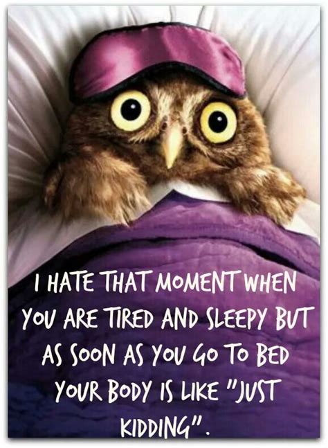 Pin By Janine Collins On Haha Too Funny Sleep Funny Sleep Quotes Funny Tired And Sleepy
