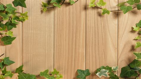 Natural Wood Grain Green Vines Ppt Backgrounds Photography Backdrops