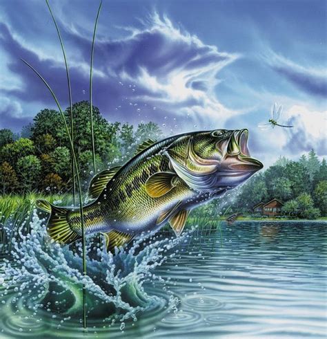 Bass Fish Wallpaper Hd Bass Fishing Backgrounds 1534925 Hd