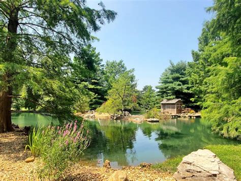 Mizumoto Japanese Stroll Garden Springfield Missouri Top Brunch Spots