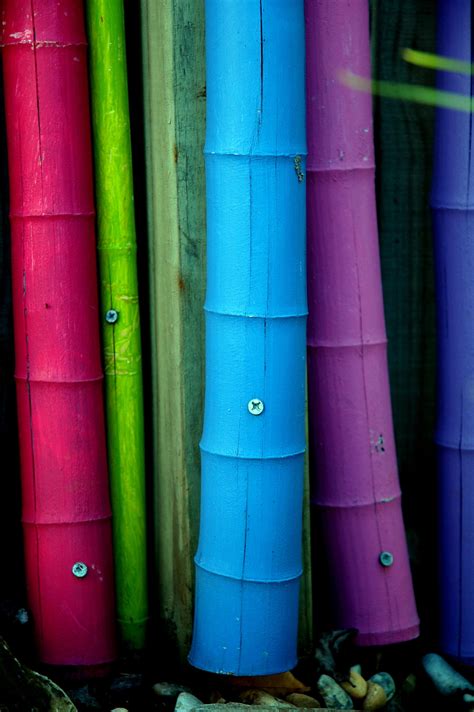 My Colours Bamboo Diy Bamboo Trellis Painted Bamboo Bamboo Poles