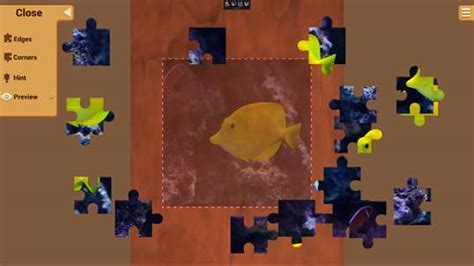 Fish Puzzle Games For Windows 10 Pc Free Download Best Windows 10 Apps
