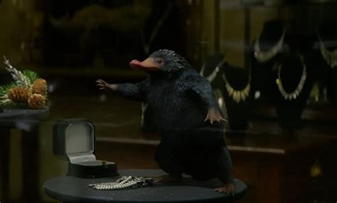 The Niffler In Fantastic Beasts And Where To Find Them Steals The