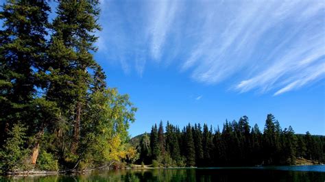 Wallpaper Forest Lake Sky Hd Picture Image