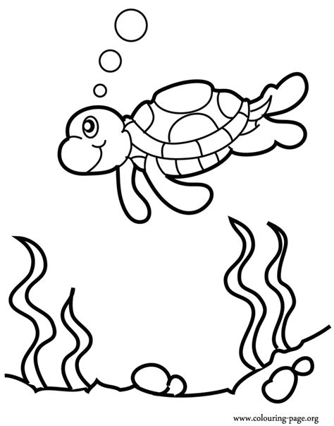 We have collected 39+ baby sea animals coloring page images of various designs for you to color. Sea Animals Coloring Pages For Kids - Coloring Home