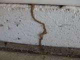 Termite Treatment Under House Photos