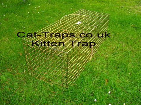 Kitten Trap Cat Uk Supply Five Designs Of Cat Cage Traps In