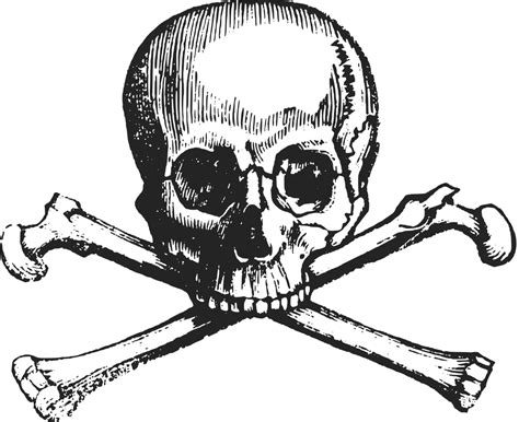 Download Crossbones Skull Death Royalty Free Vector Graphic Pixabay