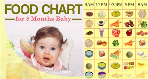 Solid Food Chart For Babies Aged Months Through 12 Months Find Age