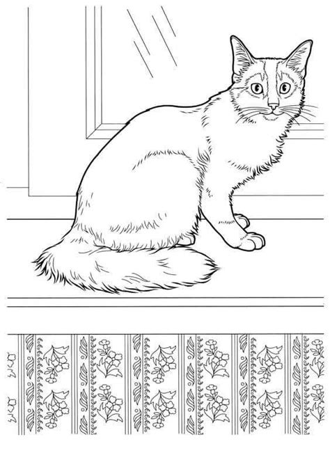 Check spelling or type a new query. 30 Free Printable Cat Coloring Pages