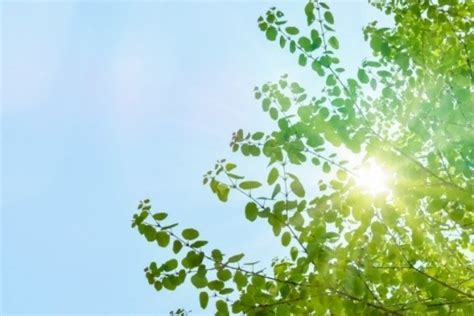 Major heat) is the 12th solar term. 大暑とは？2021年の時期と風習やイベントを教えて!