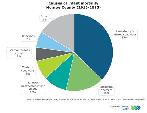Causes Of Infant Mortality Common Ground Health