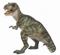 Image result for tyrannosaurus rex
