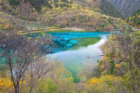 Five Colored Lake Jiuzhaigou China Stock Image Image Of Flower