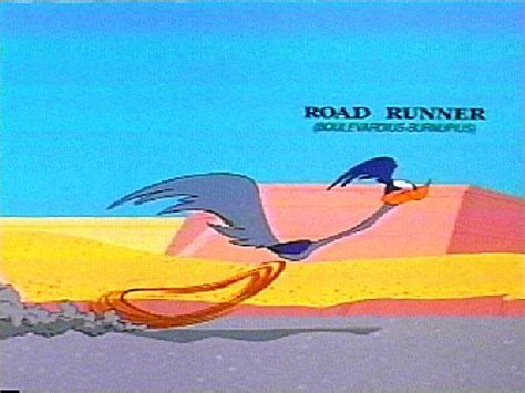 Roadrunner Beep Beep 70s Cartoons Looney Tunes Characters Road Runner