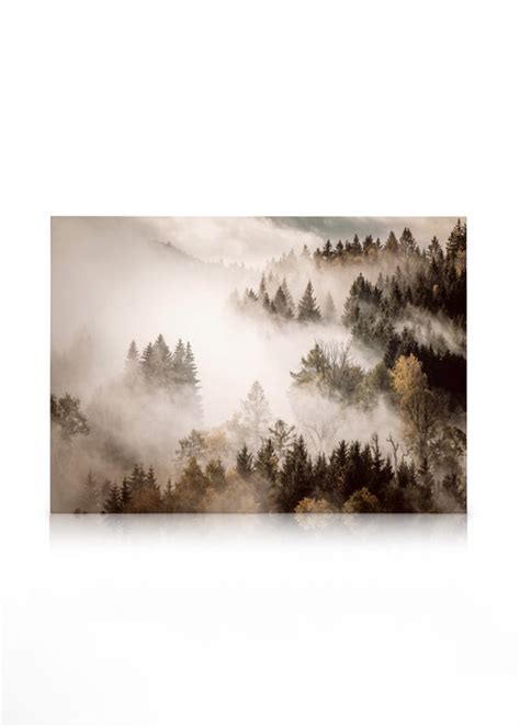 Misty Autumn Forest Canvas Dimmig Skog