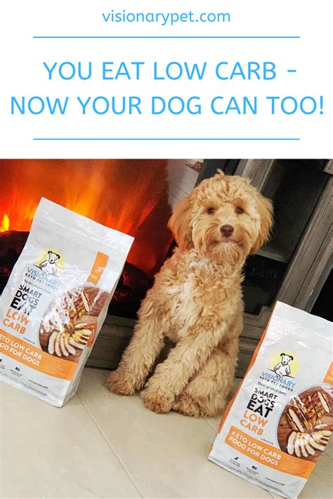 Low fat dog diets is one of the best choices that pet parents can follow. Keto Dog Food - Low Carb - High Protein - Grain Free ...