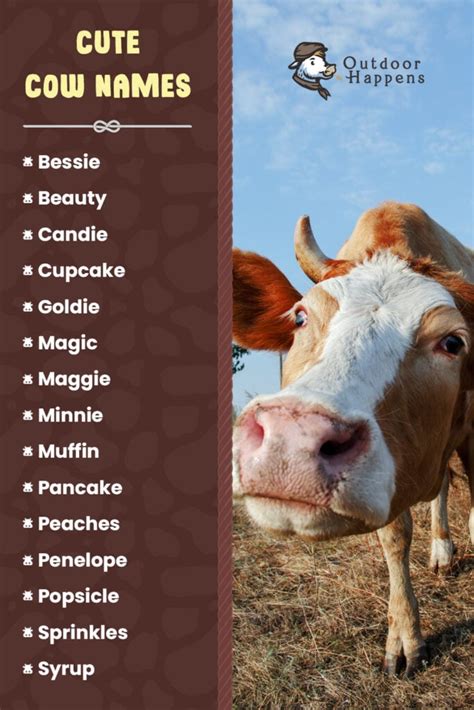 275 Cute And Funny Cow Names 🐮 From Moodonna To Donald Rump