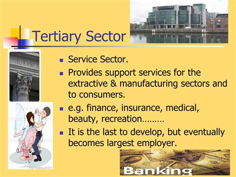 Tertiary Economic Activity Definition Lesson 6 Tertiary Economic