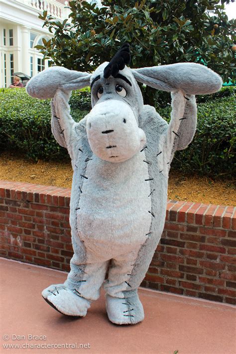 Eeyore At Disney Character Central